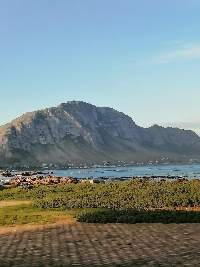 Just Chill Betty'S Bay Apartment ภายนอก รูปภาพ